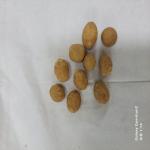 품목분류2과-7041-2